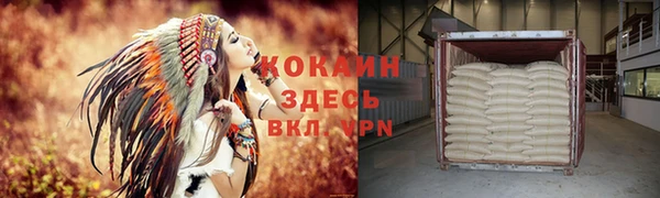 стафф Алзамай